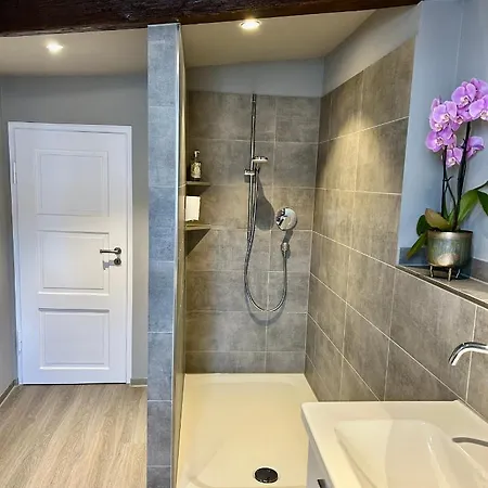 By Rhein-suites Boppard